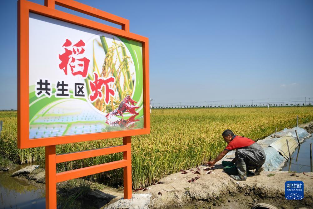 线上澳博